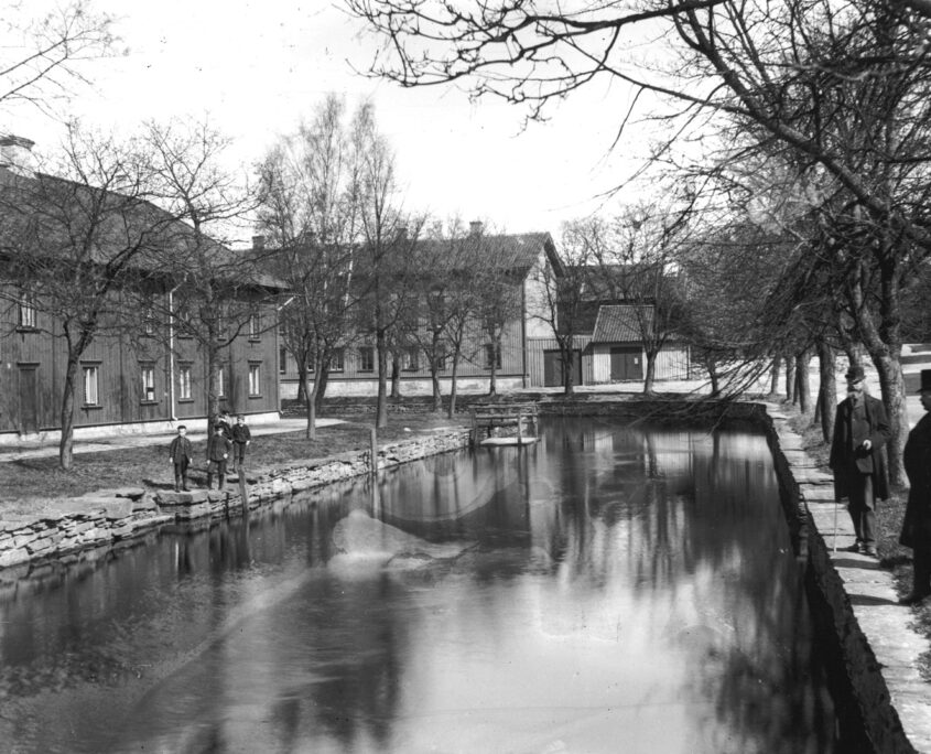 Tygvävaren 3